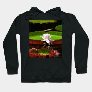 The Centerpiece Hoodie